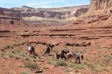 USA-Utah-Canyons & Wild Horses Tour